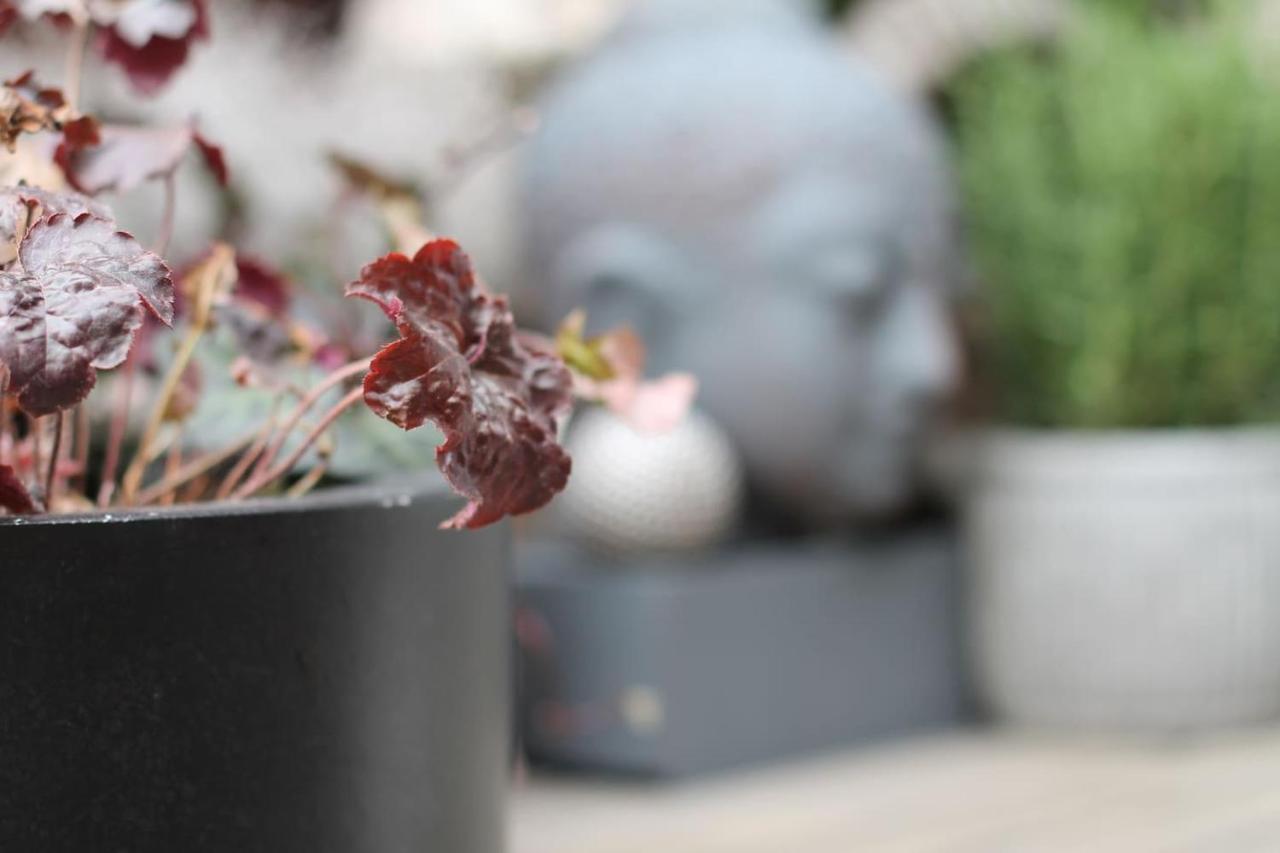 Exklusive Designferienwohnung The Backyard Tby 02 Trier Luaran gambar